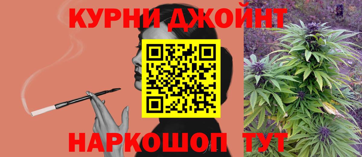 Канабис гибрид  Каннабис MAZAR  Вход с VPN  Марихуана семена  Бор  Бошки Шишки семена 